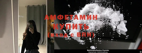 мдпв Рославль