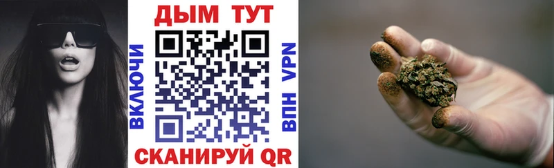 где купить наркоту  Кингисепп  OMG ссылки  Бошки марихуана OG Kush 